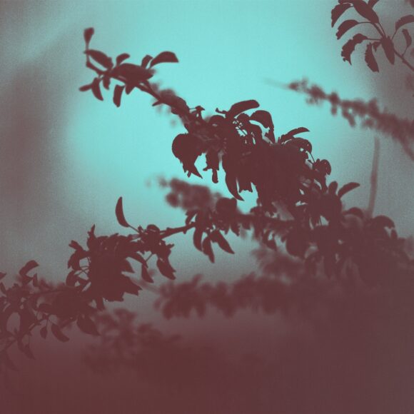© Ioanna Sakellaraki