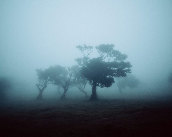 © Jonathan bertin