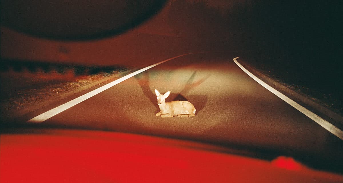 © Julien Magre