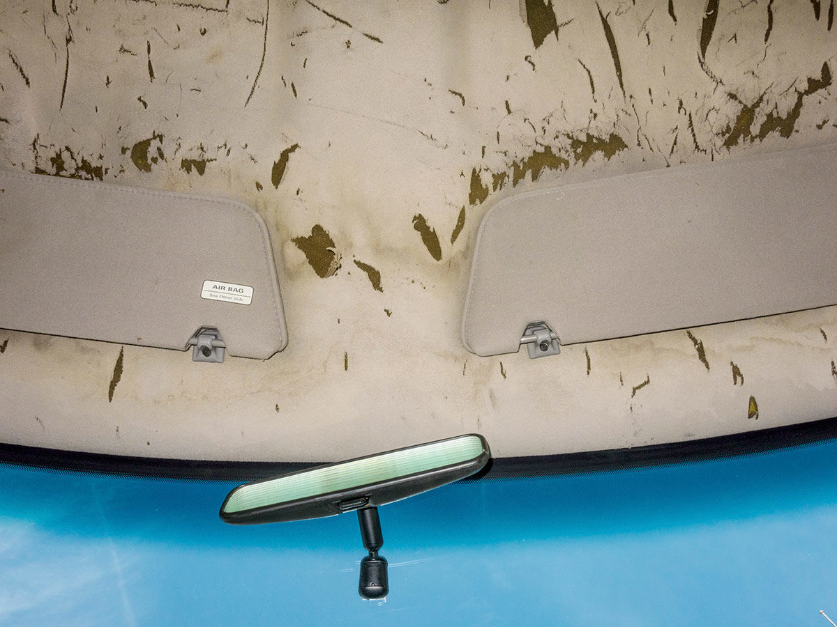© Matthew Casteel