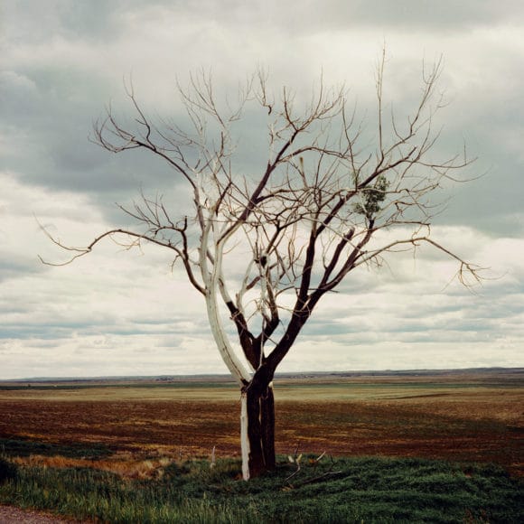 © Marley Hutchinson