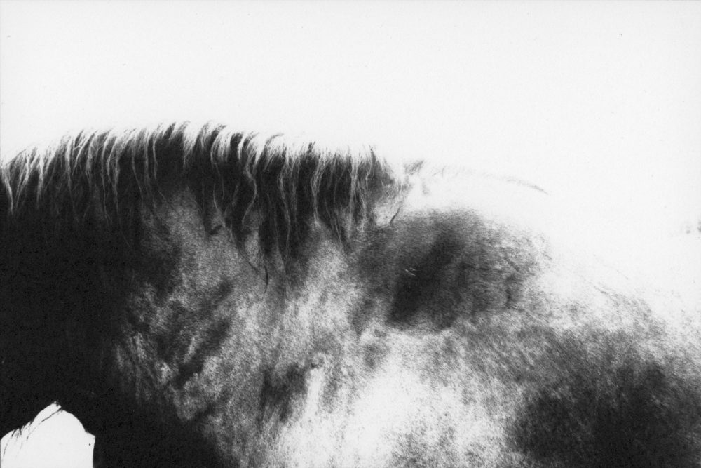 © Sabrina Biancuzzi