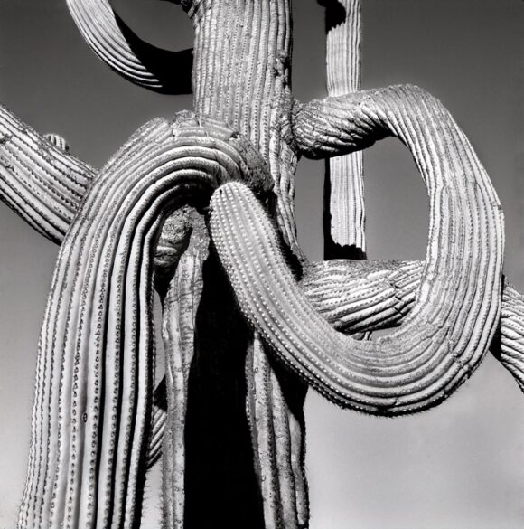 © Philippe Perrin