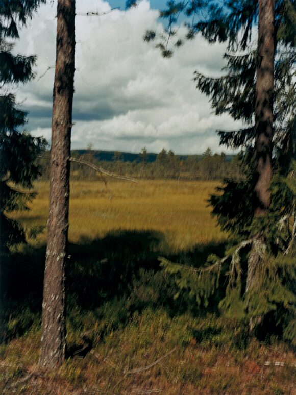 © Jan Henrik Engström