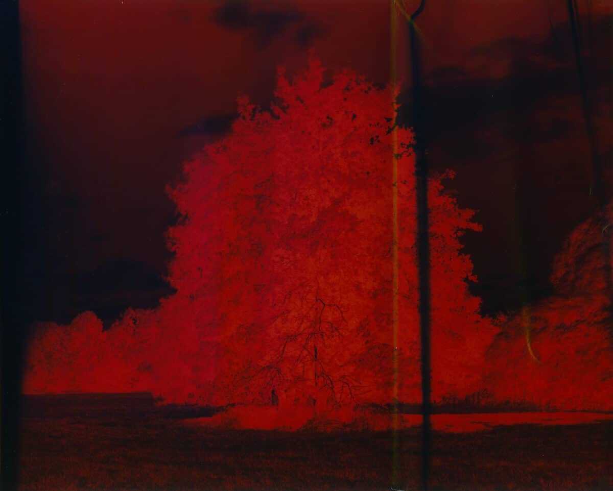 © Téo Becher & Solal Israel