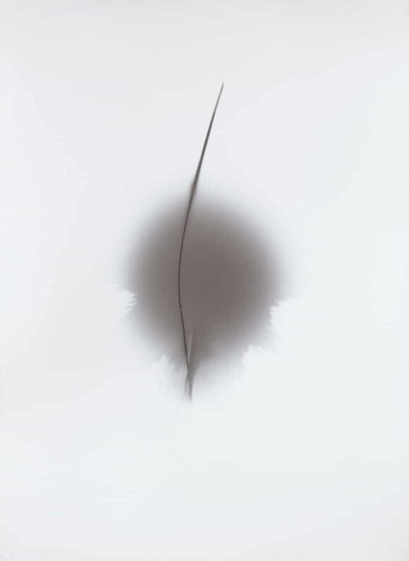 Thomas-Paquet_2_Courtesy-Galerie-Thierry-Bigaignon