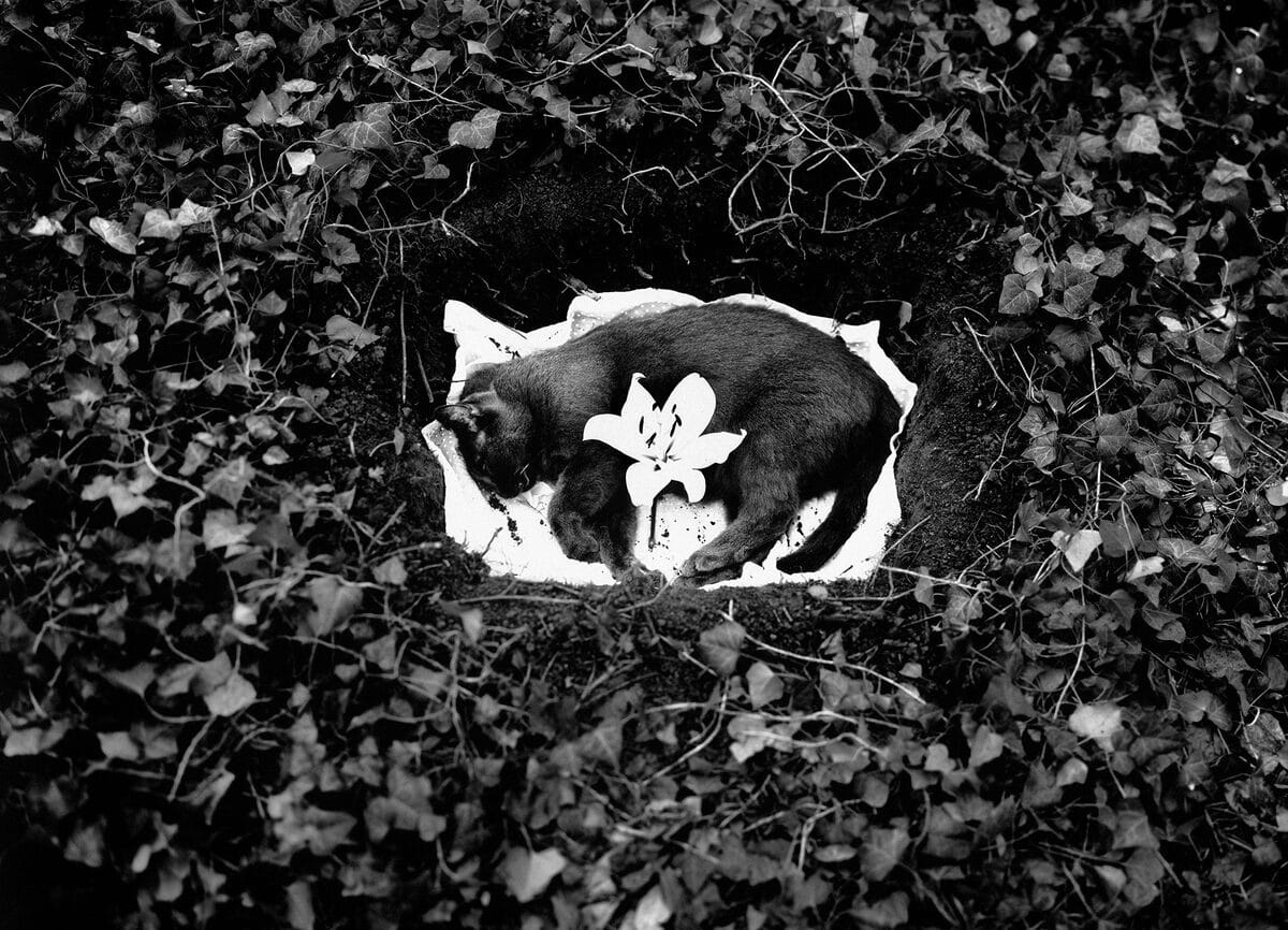 © Martin Colombet