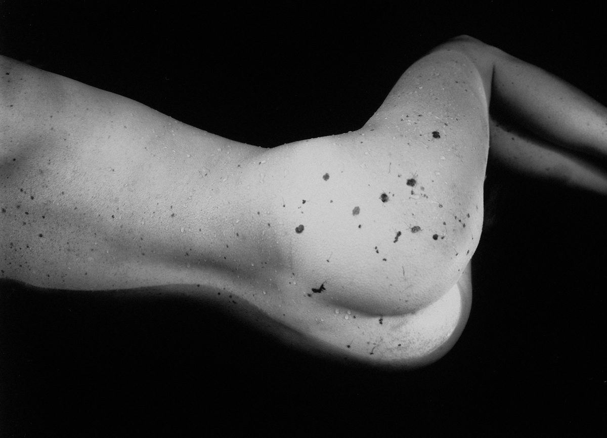 © Martin Colombet