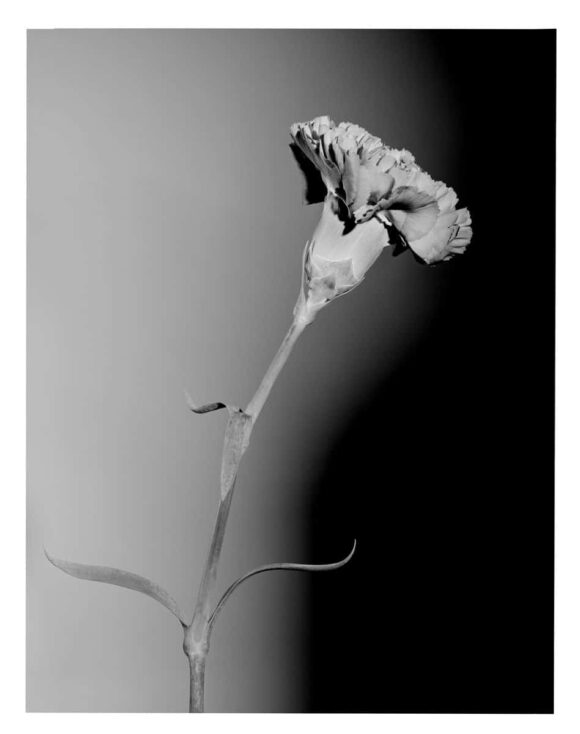© Joffrey Piguet