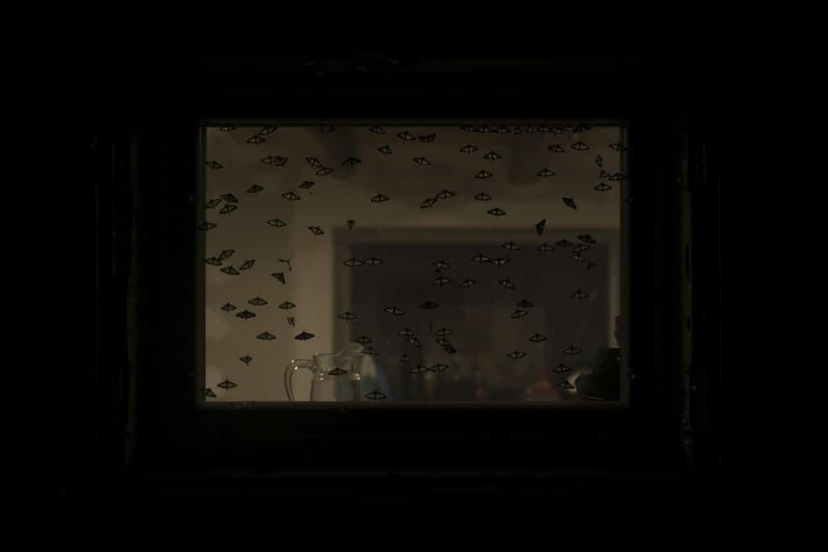 © Juliette Treillet