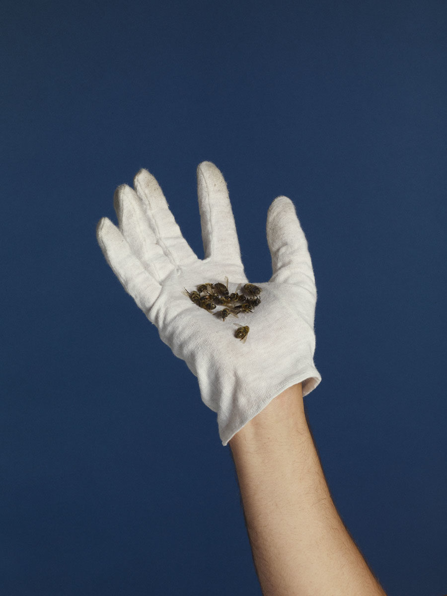 © Margaux Senlis