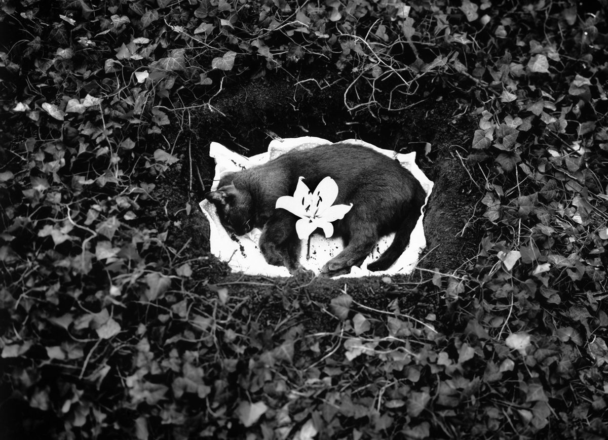© Martin Colombet