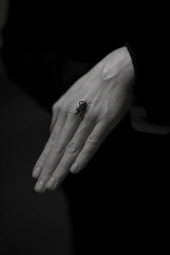 © Tommaso Gallinaro