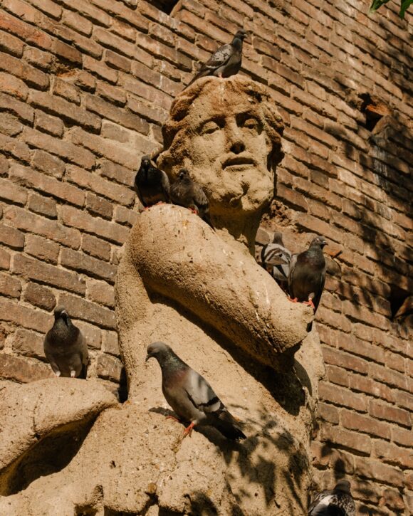 © Giacomo Alberico