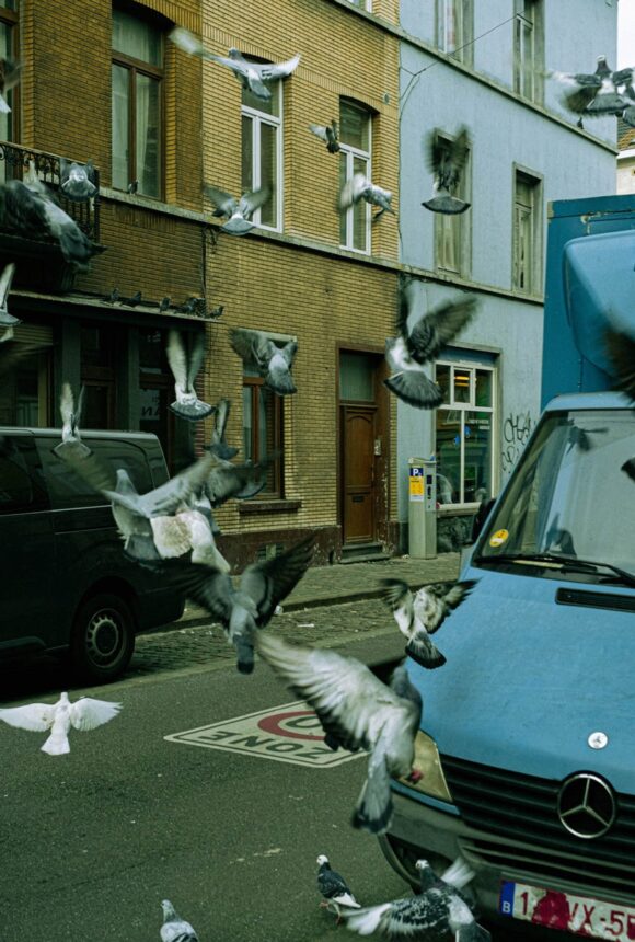© Julien Vermeiren