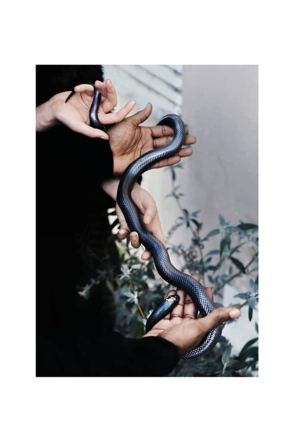 © Chloé Milos Azzopardi
