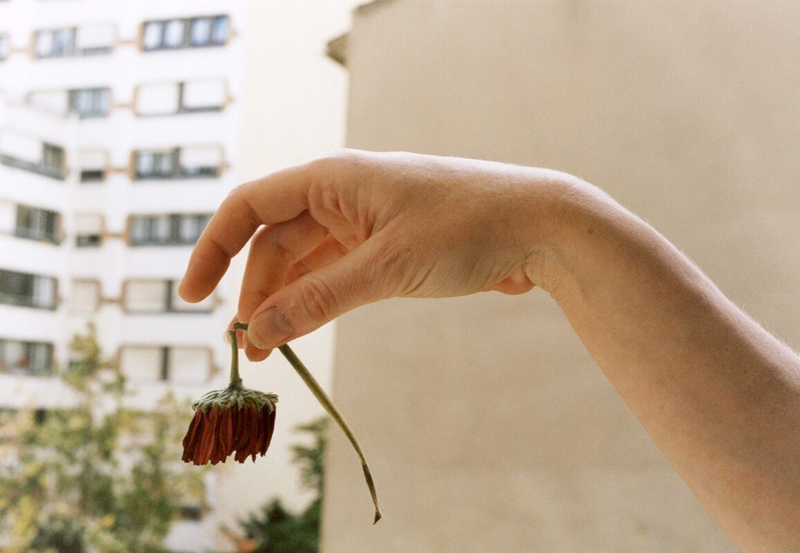 © Alassan Diawara