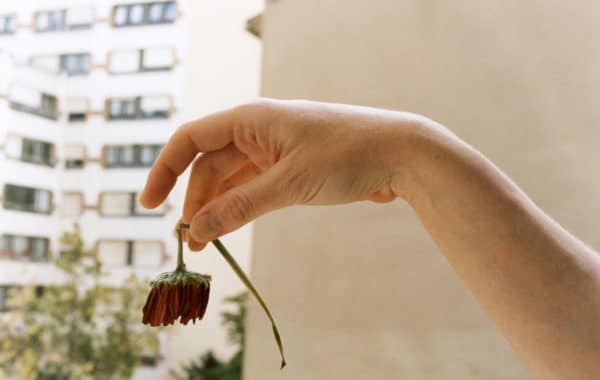 © Alassan Diawara