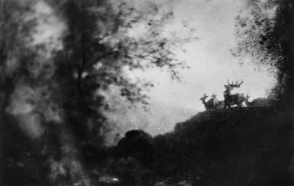 © Anne-Lise Broyer