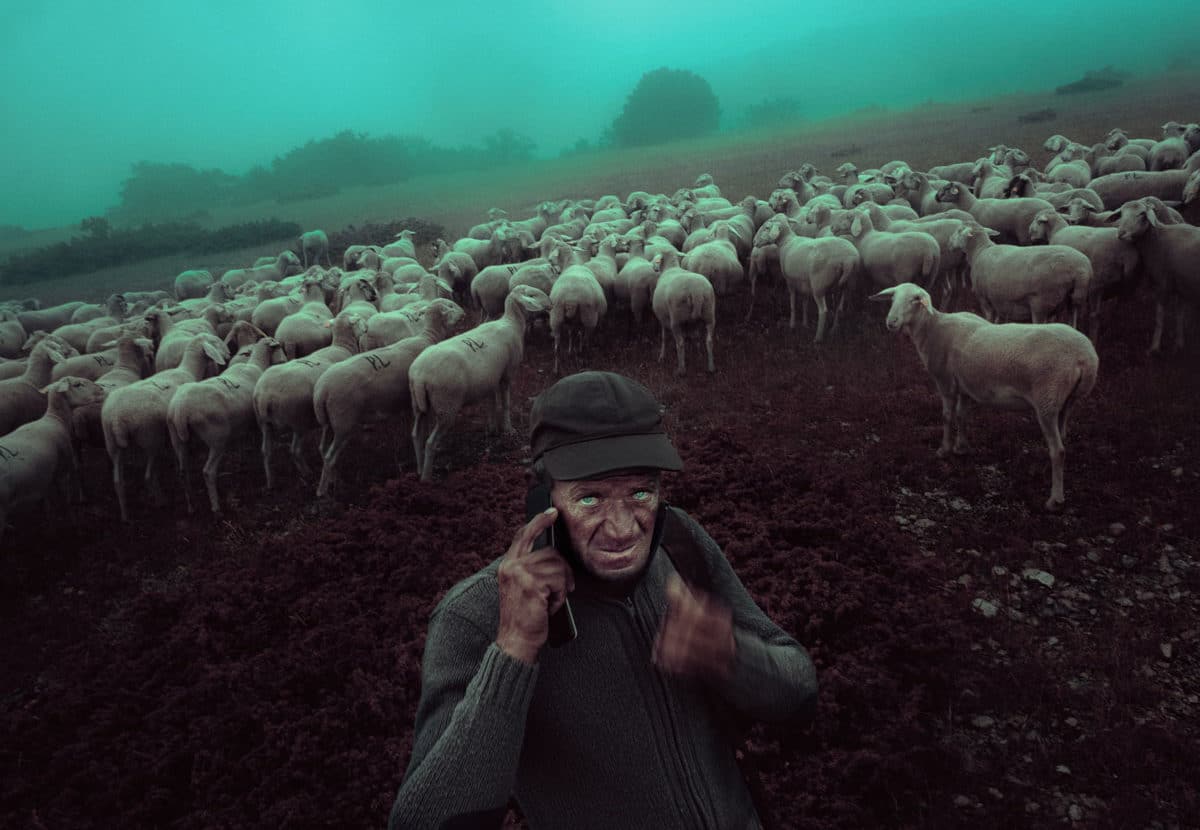 © Francesco Lopazio