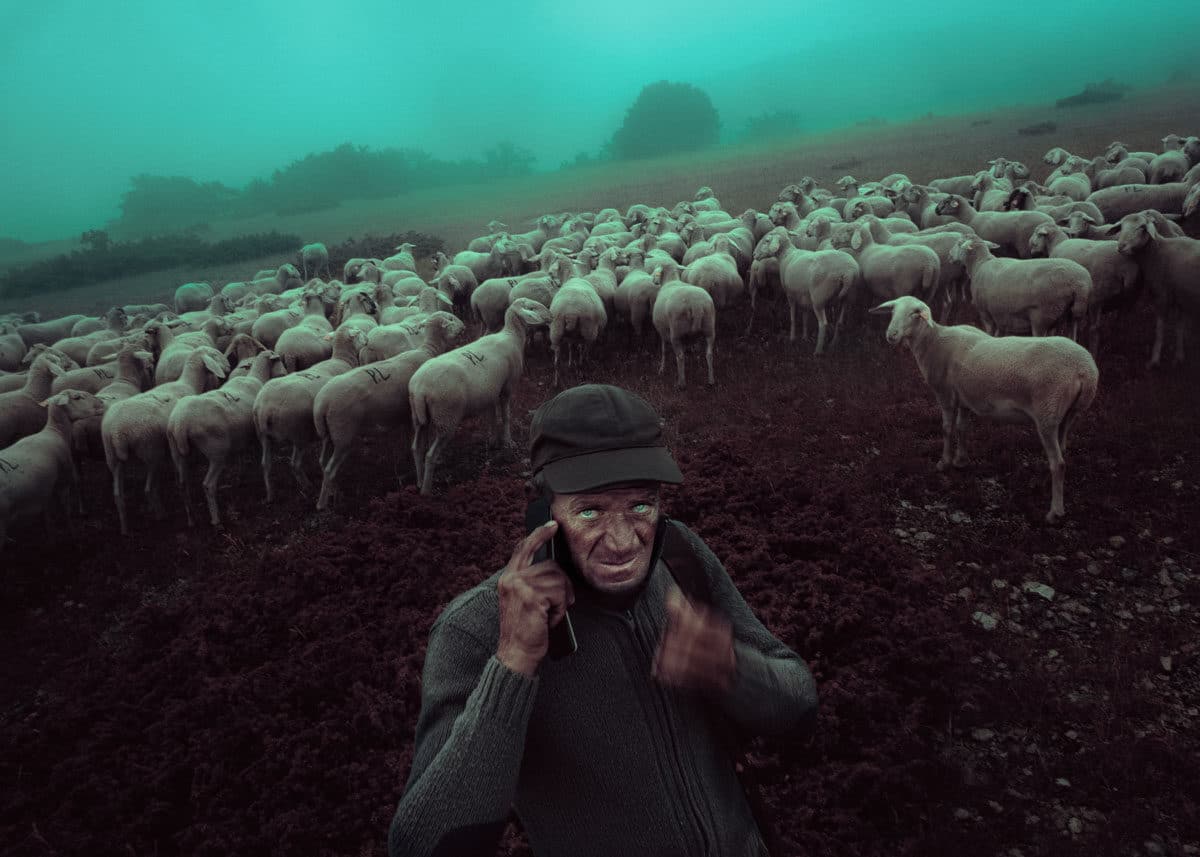 © Francesco Lopazio
