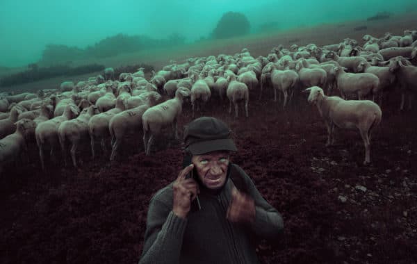 © Francesco Lopazio