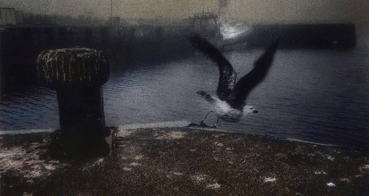 © Irène Jonas