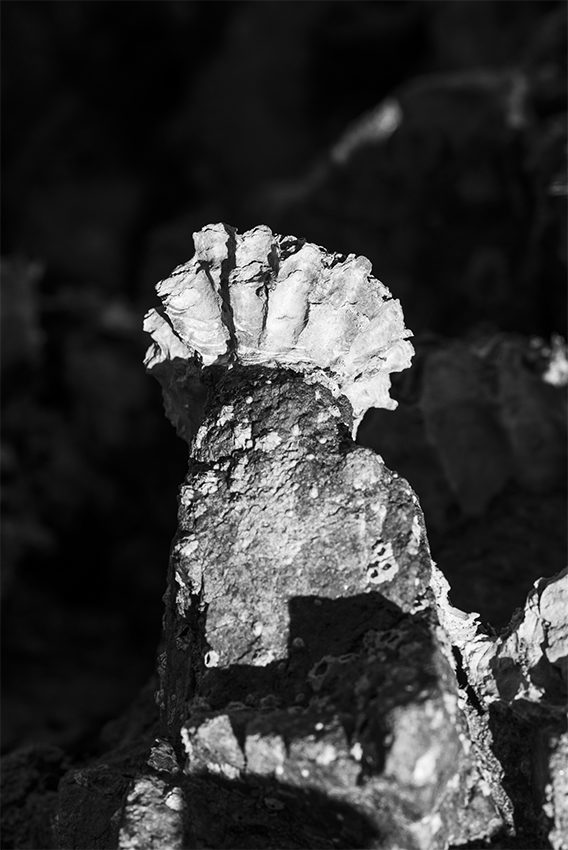 © BZH PHOTO × Fernanda TAFNER