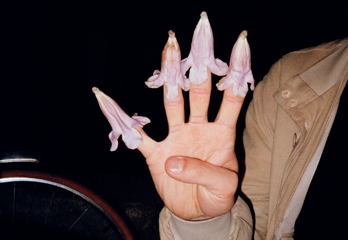 © Julie Hrncirova