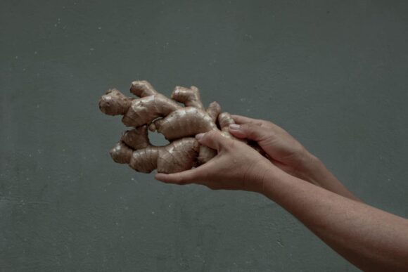 © Florence Goupil
