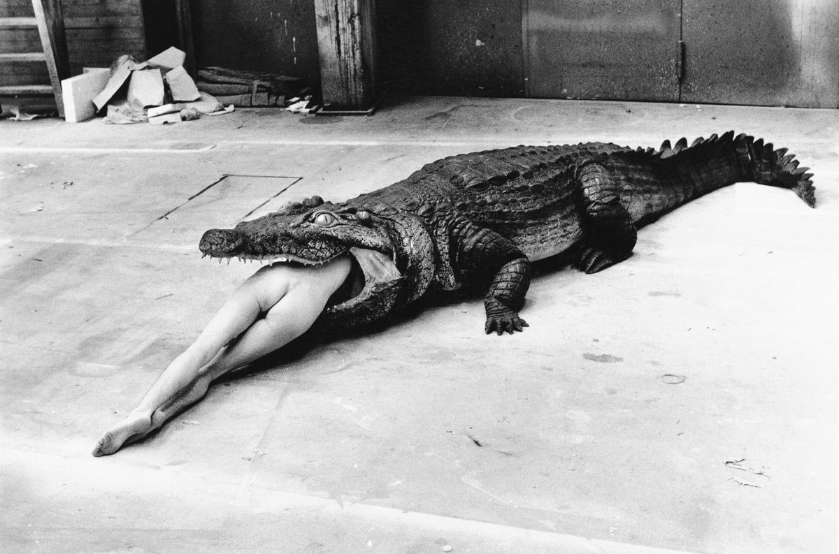 © The Helmut Newton Estate / Maconochie Photography
