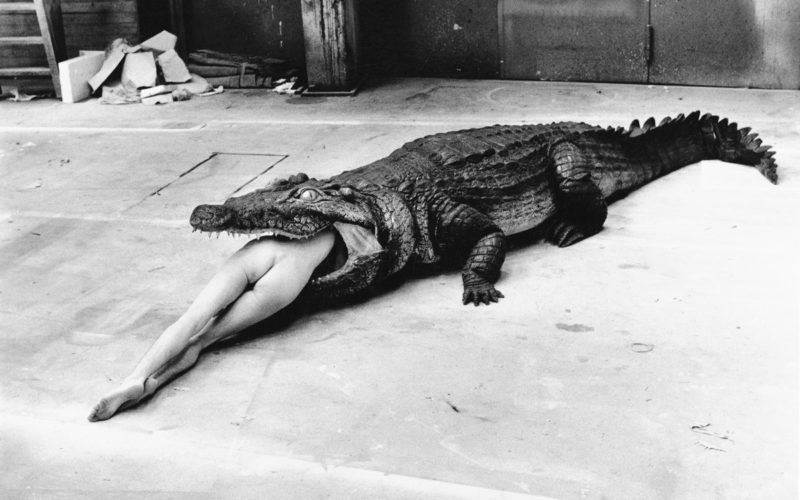 © The Helmut Newton Estate / Maconochie Photography
