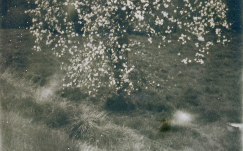 © Mélanie Patris