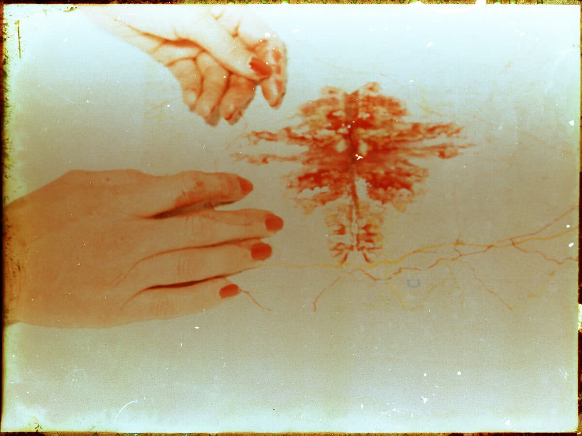© Mélanie Patris