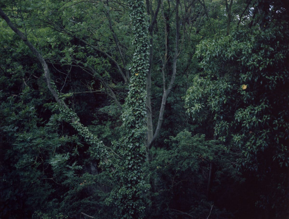 © Mélanie Patris