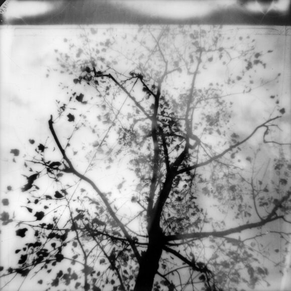 © Mélanie Patris