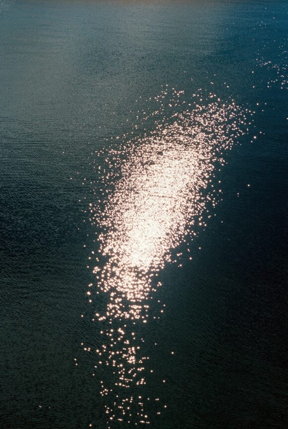 © Ning Kai et Sabrina Scarpa