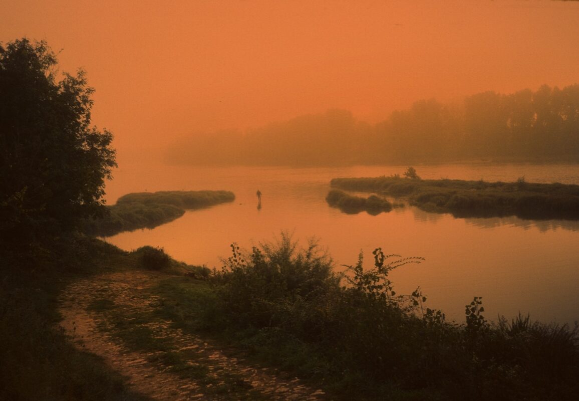 © Arno Brignon