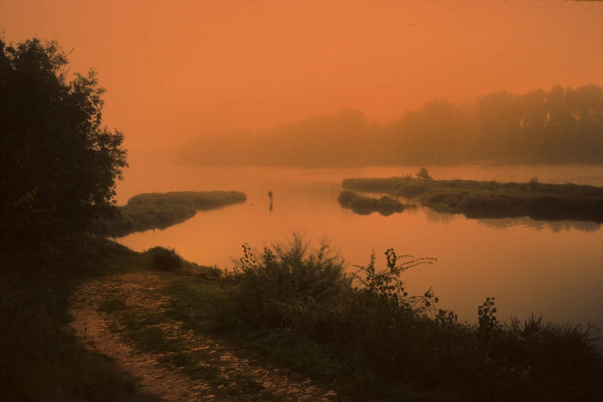 © Arno Brignon
