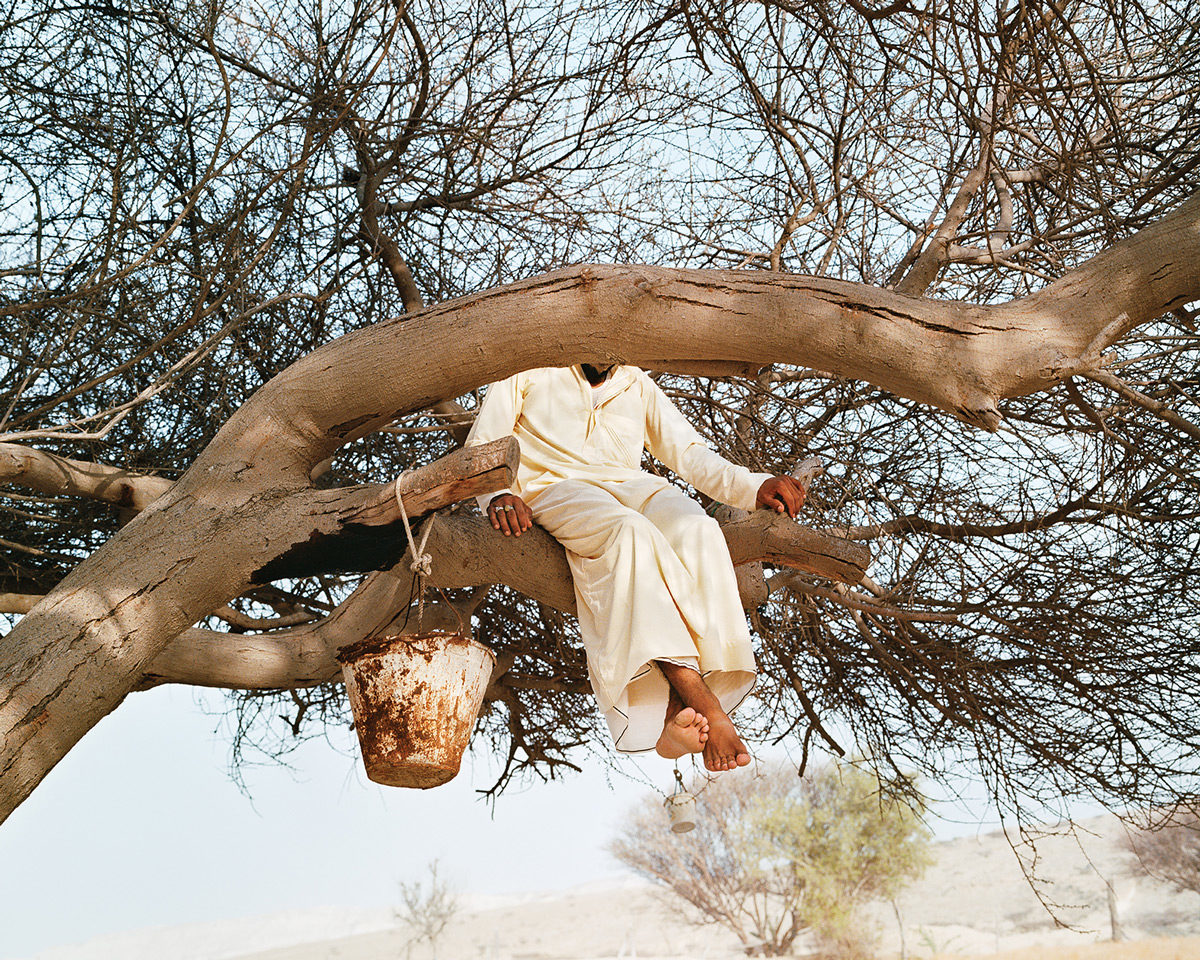 © Hoda Afshar