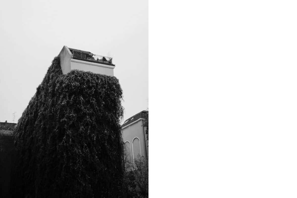 © Alexandre Kurek 