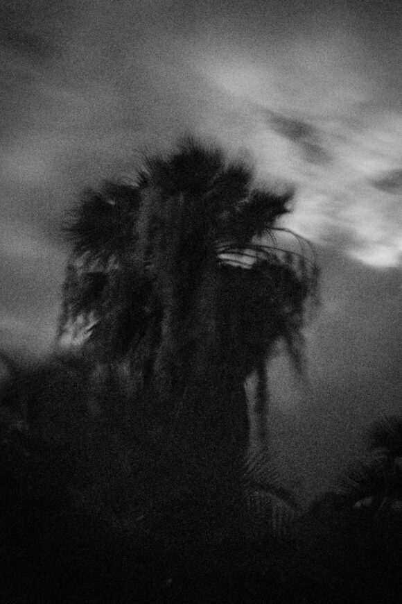 © Bastien Brillard