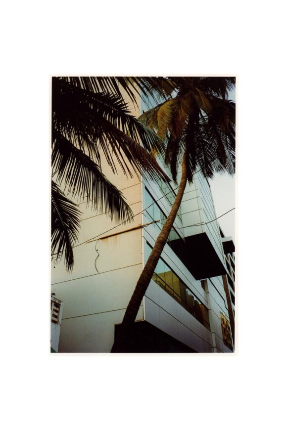 © Faustine Martin
