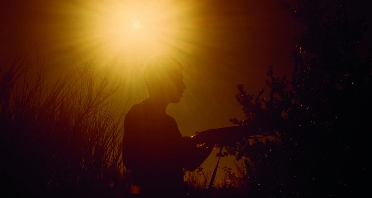 © Marine Lanier