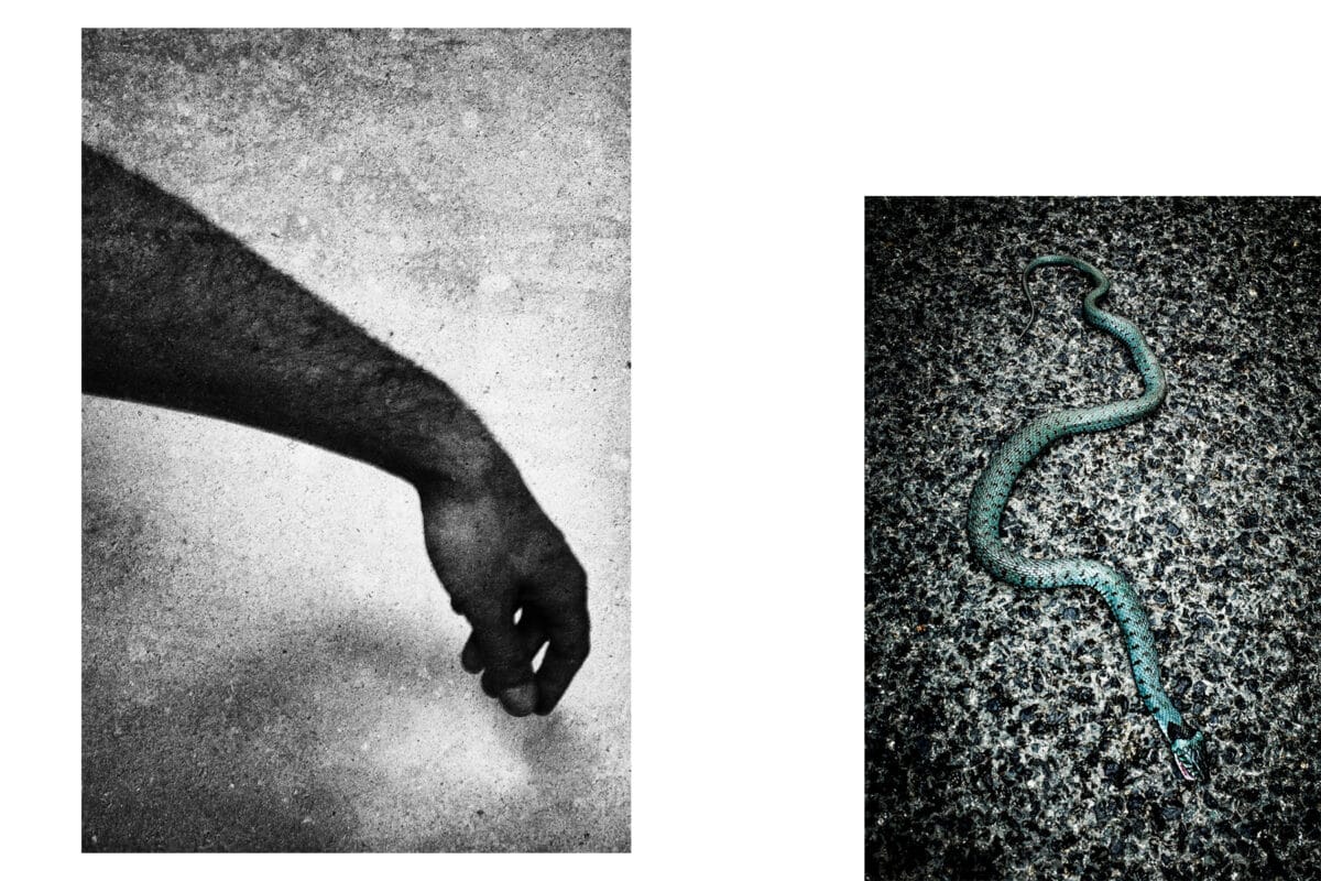 © Élie Monférier