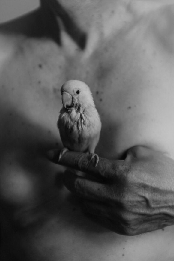 © Allan Salas