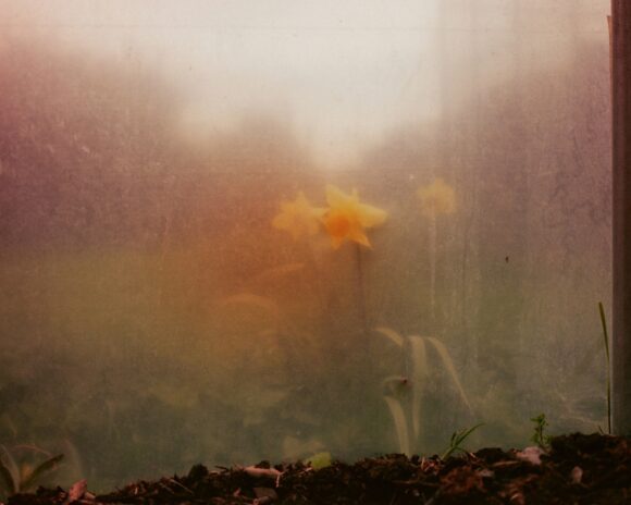 © Boe Marion