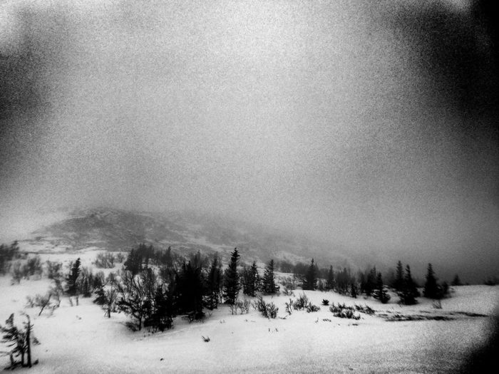 © Christine Lorenzen