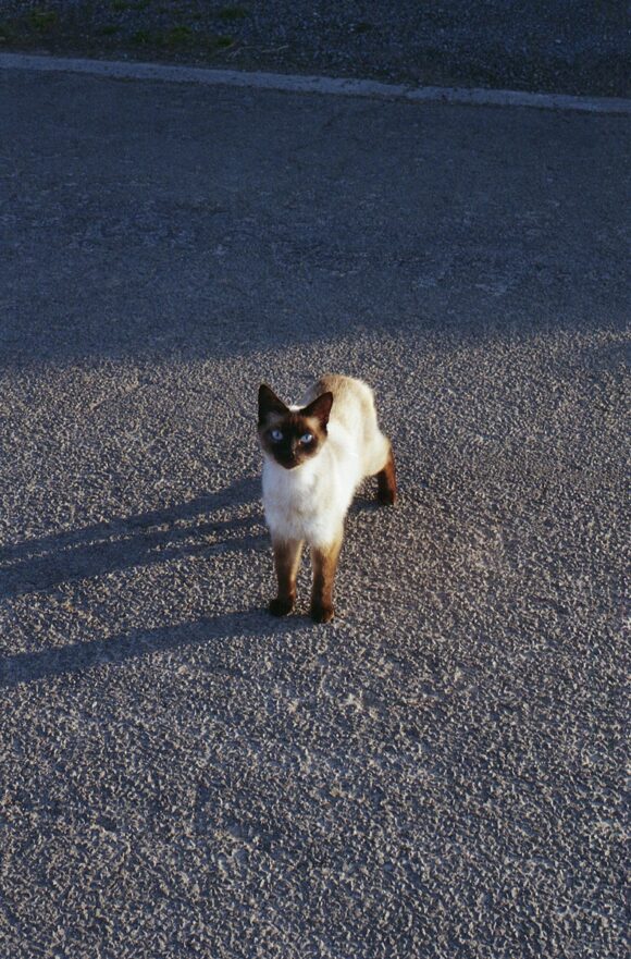 © Claire Delanghe