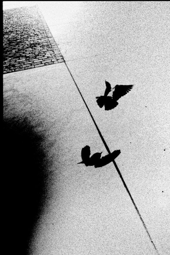 © Jean-François Flamey